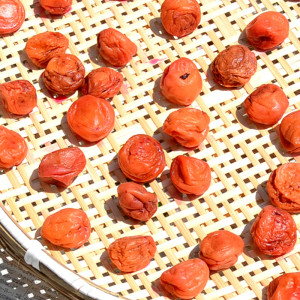 梅干しの作り方