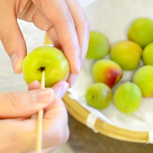 梅シロップの作り方