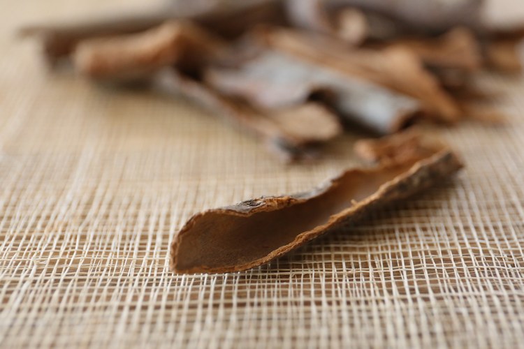 セイロンシナモンとカシアの違い