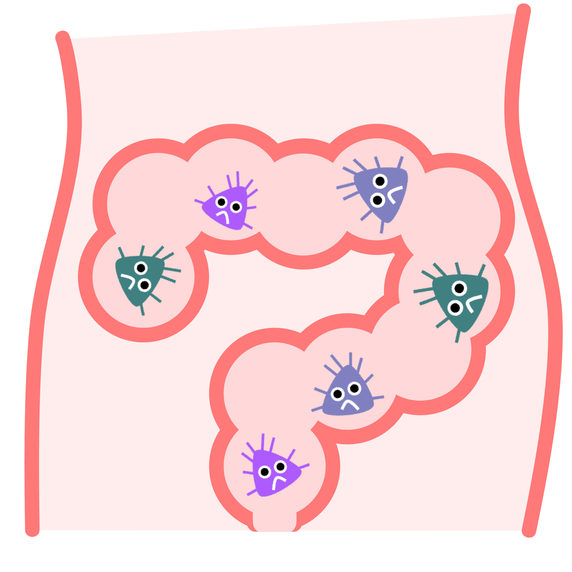 乳酸菌の上手な摂取法とは？「大腸の専門医」後藤利夫先生に聞きました。