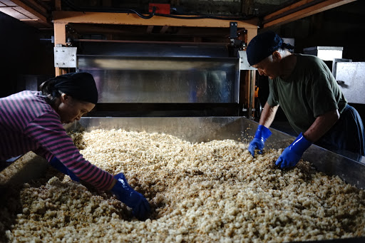 -金山寺味噌用の麹づくり（和歌山県）-