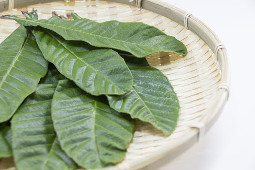 びわの葉の効果・効能