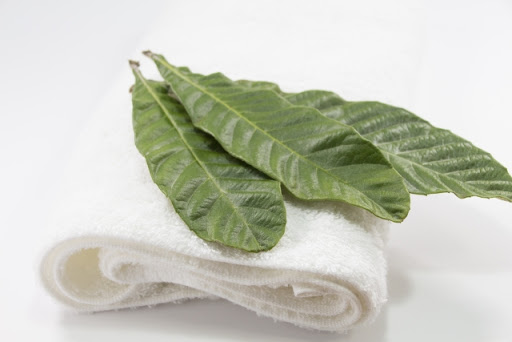 びわの葉活用法