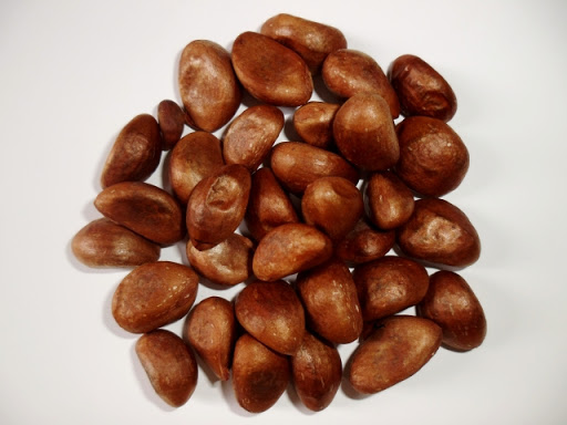 がん治療に期待された時期もあったけれど…