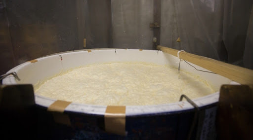 酒母（しゅぼ）づくり