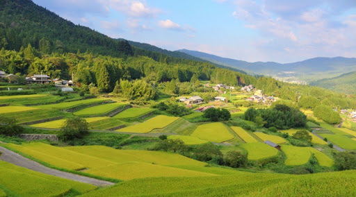日本酒・地域による違いはこう楽しむ