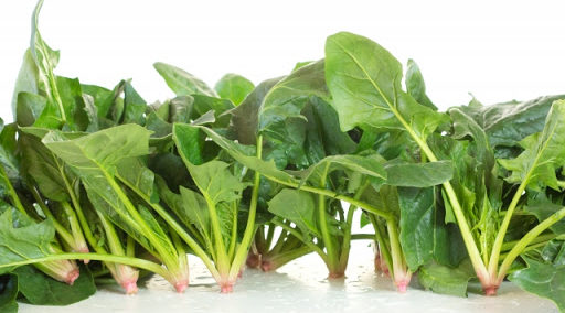 野菜（実もの・葉もの）の味噌汁