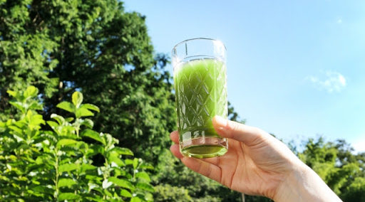 青汁を飲むタイミングは？