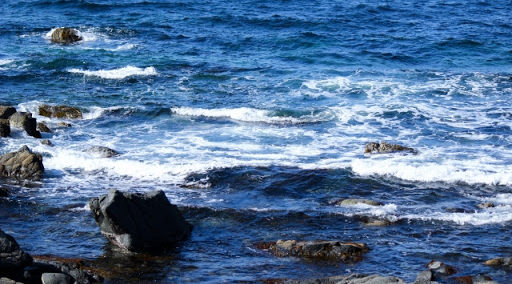 ミネラル豊富な塩はおいしい！