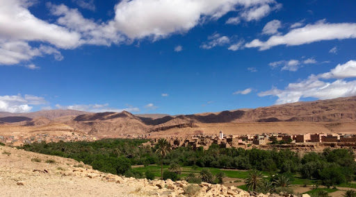 アルガンオイルとは