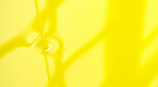 ゴールデンホホバオイルとクリアホホバオイル