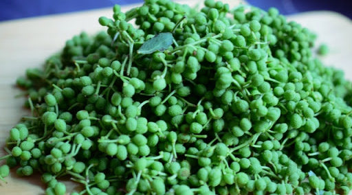 赤花椒・青花椒・籐椒の違い