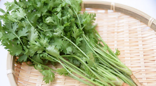 コリアンダーとパクチーの違い
