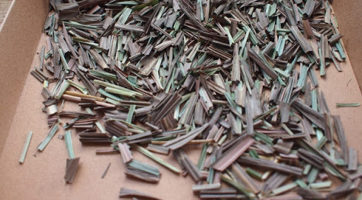 生葉・乾燥葉の使い方