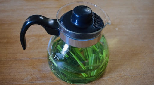 レモングラスの副作用～妊娠中でも使える？