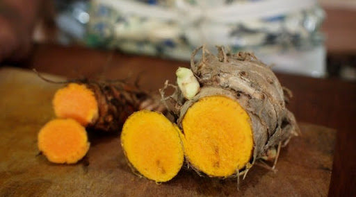 春ウコン秋ウコン紫ウコンの違い