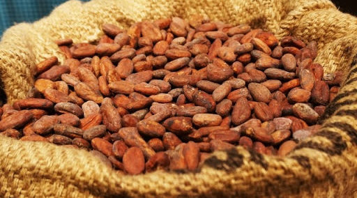 カカオニブとカカオペーストの違い