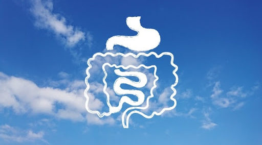 腸内環境とおならの関係