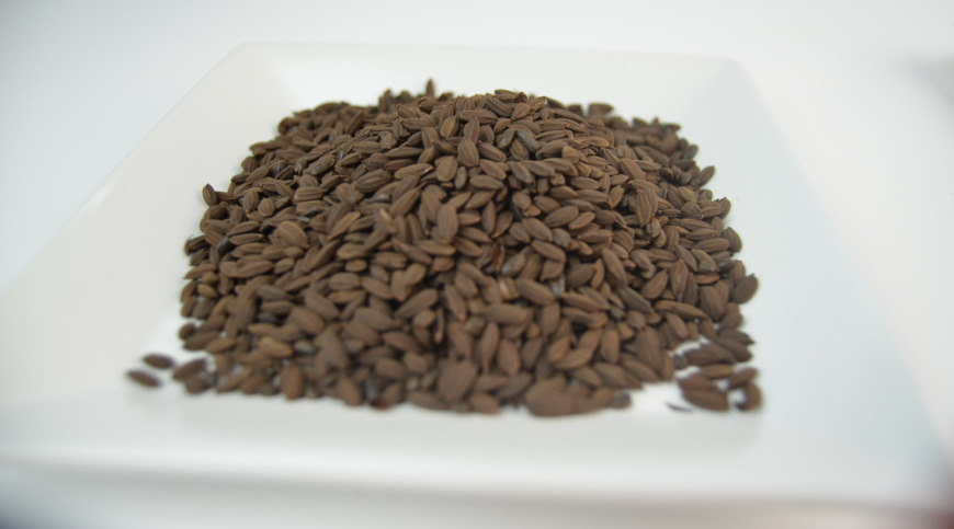 玄米のみタイプ