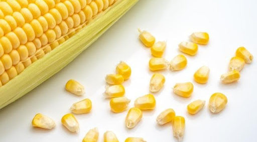 難消化性デキストリンとは