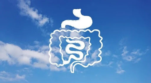 栄養の吸収が良くなる