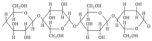分子構造