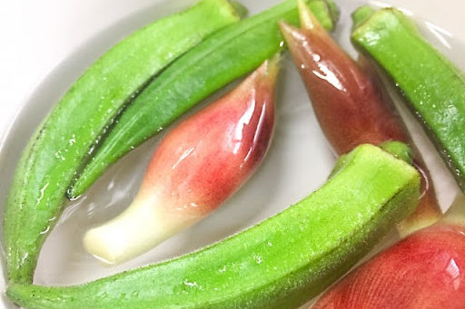 爽やか茶碗蒸し