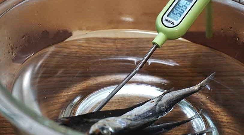 あご煮干しを洗う