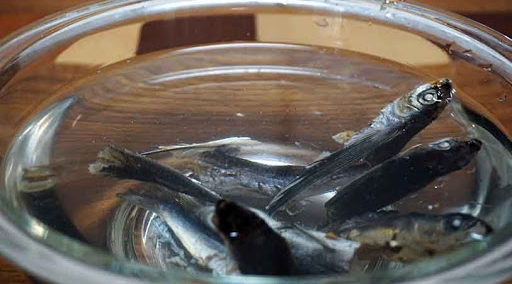 あご煮干しを水にいれておく