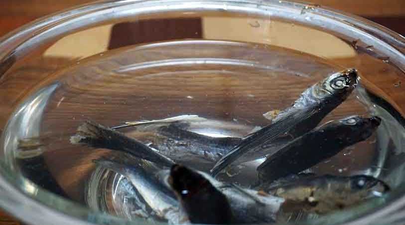 あご煮干しを水にいれておく