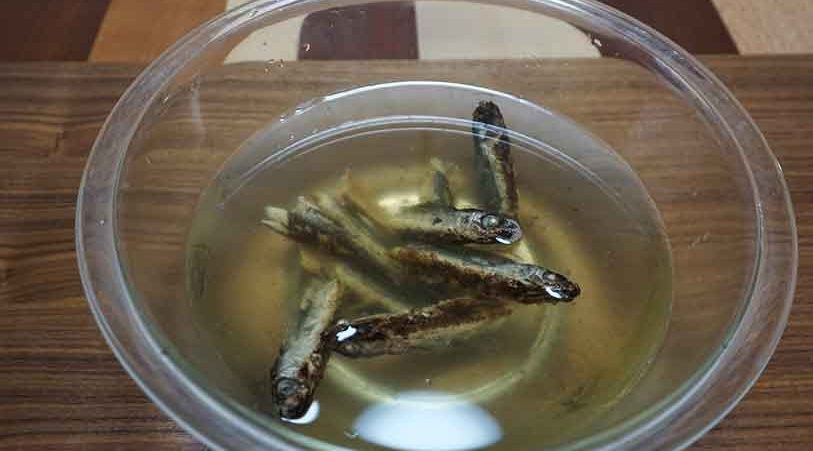 焼きあごを水にいれる