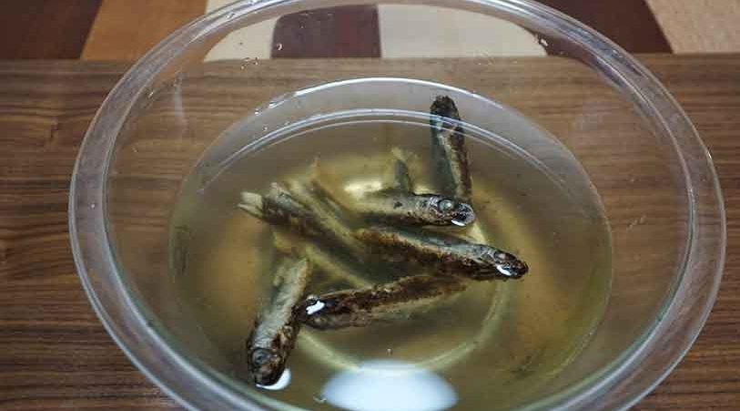 焼きあごを水にいれる