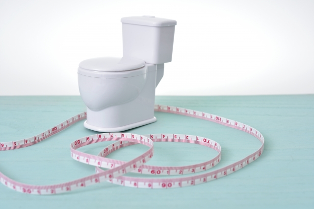 あなたの腸内環境をチェック