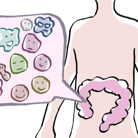 悪玉菌を減らしたい