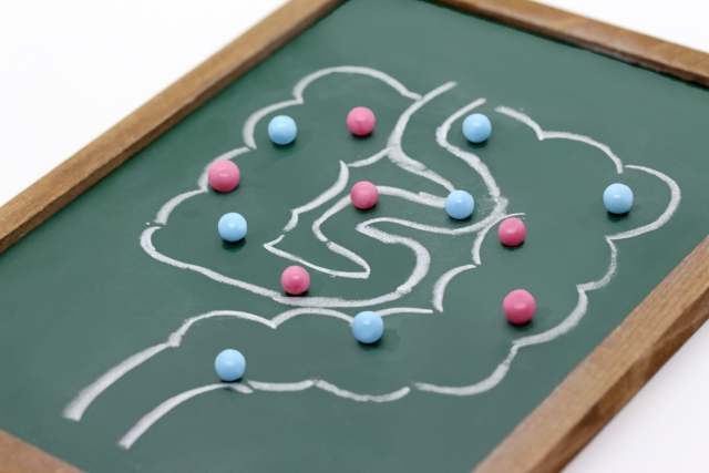 ガセリ菌とは？