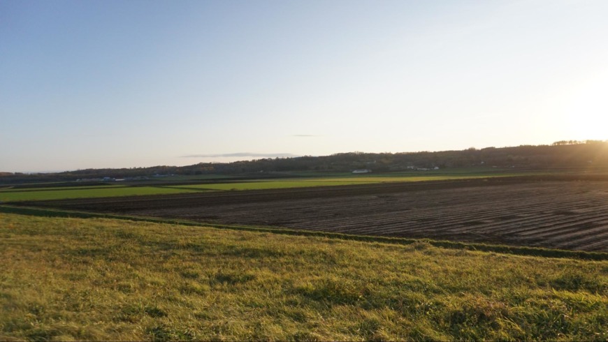 北海道平譯さんの自然栽培大豆と小豆