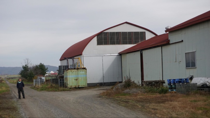Q今はどんな豆を栽培されてらっしゃいますか