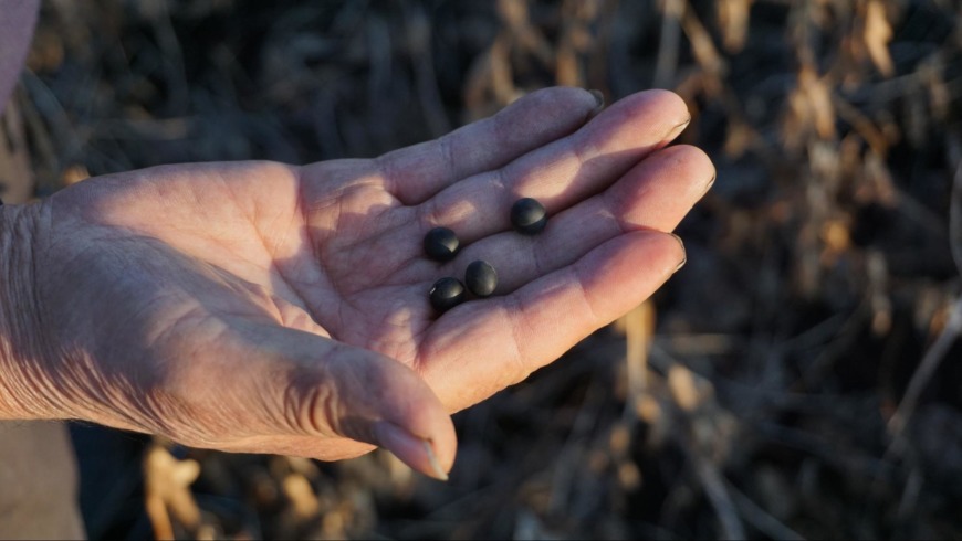 Q機械乾燥とは何が違うのでしょうか