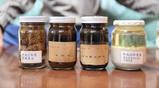 お米の腐敗実験