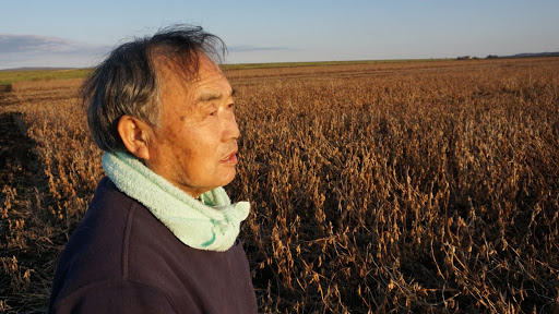 自然栽培をはじめて