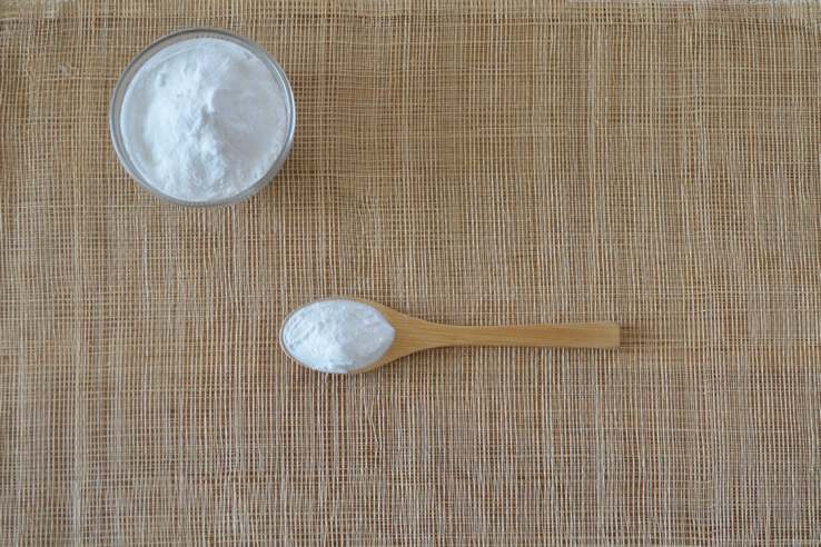 腸は全身の免疫の約7割