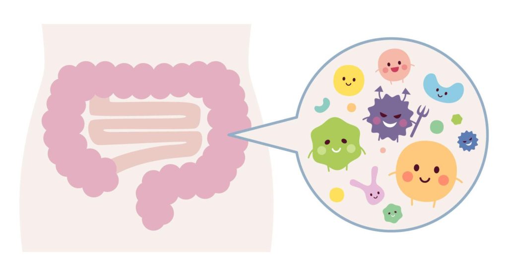 腸内環境を良くするヒント