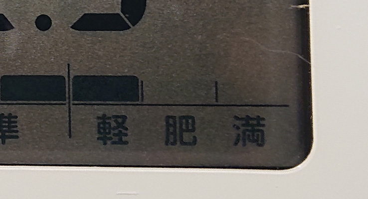 軽い肥満