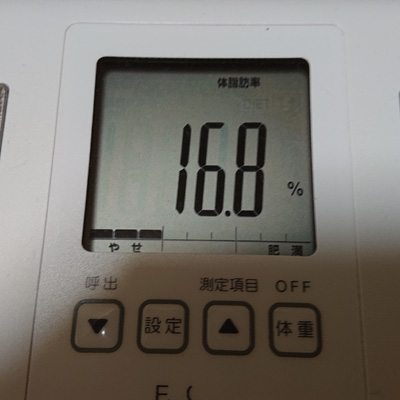 体重体脂肪データ