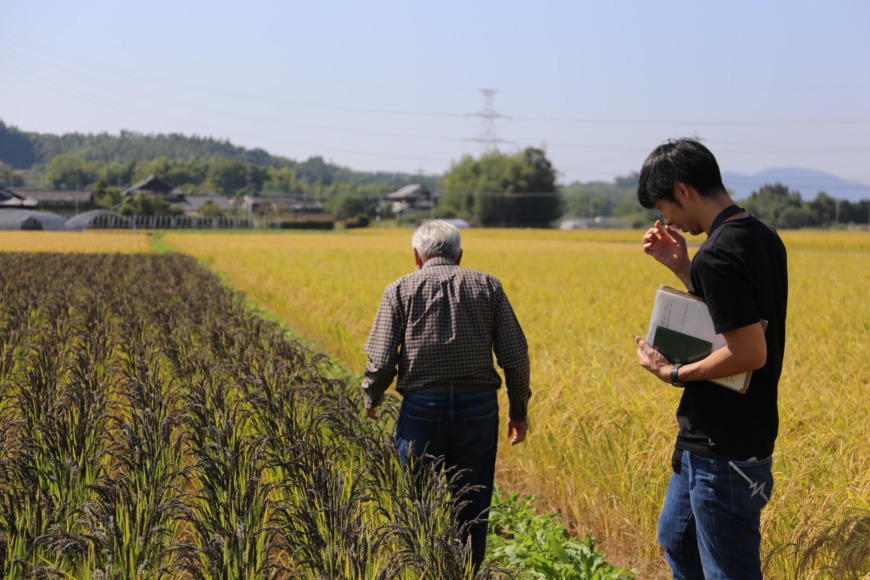 かわしま屋と玄米のはなし