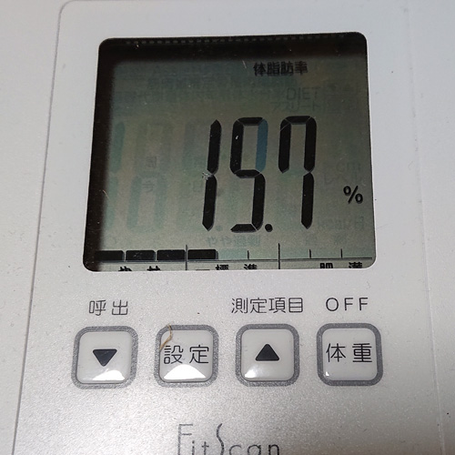 体重体脂肪データ