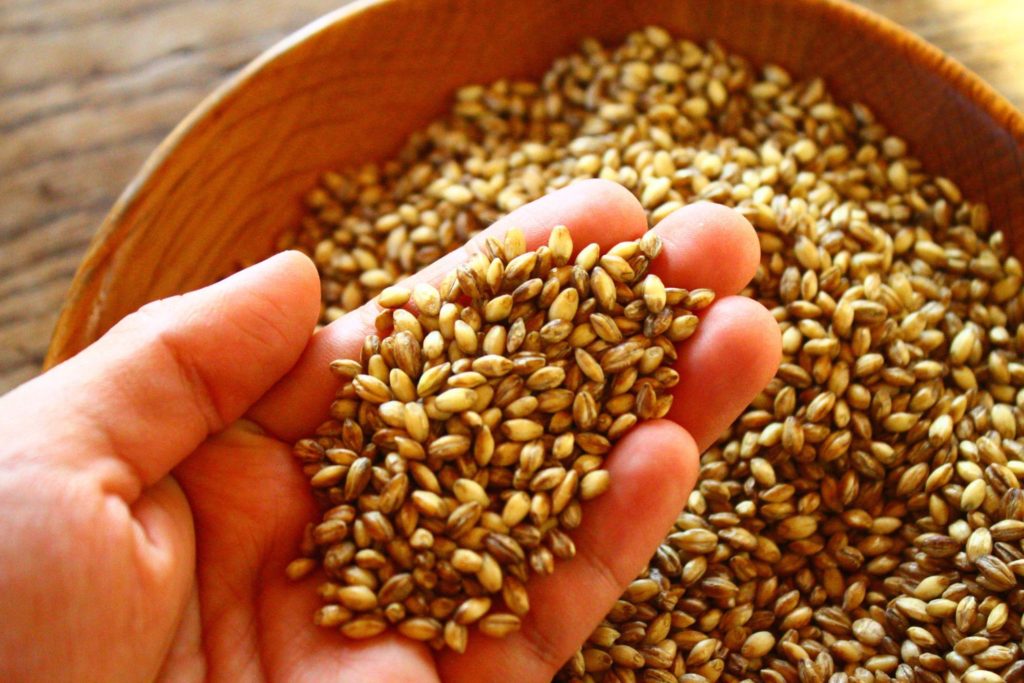 もち麦ダイエットの結果