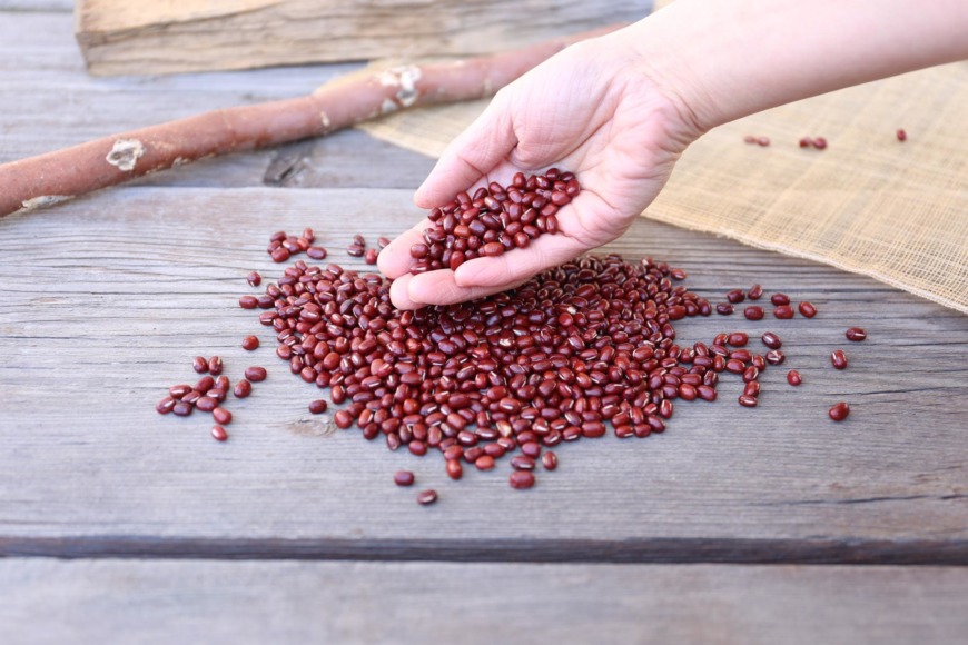 小豆を購入する際は、どのような小豆を選ぶと良いでしょうか？