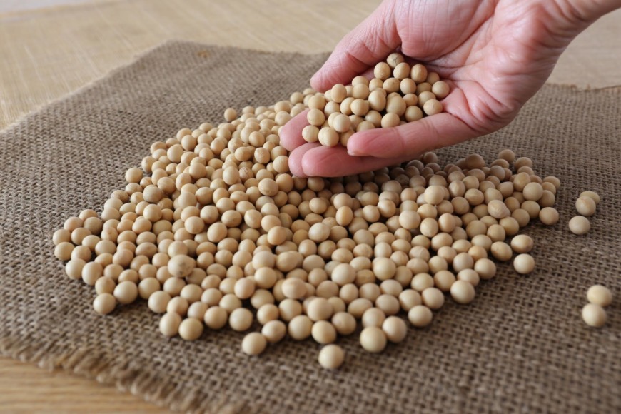 小豆と大豆を比較して、小豆のメリットデメリットを教えてください。