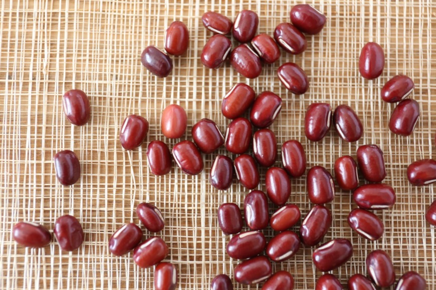 小豆の形状